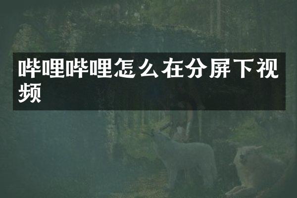 哔哩哔哩怎么在分屏下视频