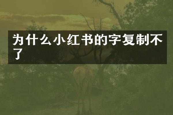 为什么小红书的字复制不了