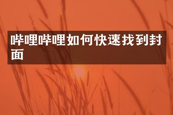 哔哩哔哩如何快速找到封面