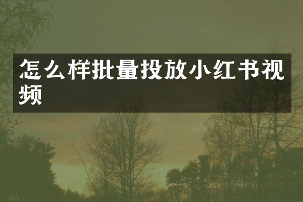 怎么样批量投放小红书视频