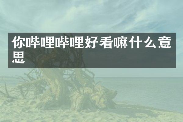 你哔哩哔哩好看嘛什么意思