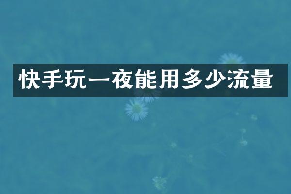 快手玩一夜能用多少流量