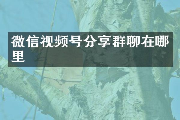 微信视频号分享群聊在哪里