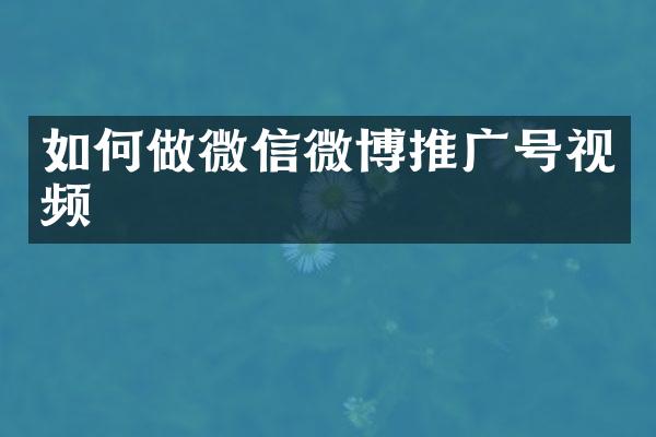 如何做微信微博推广号视频