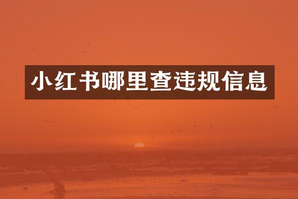 小红书哪里查违规信息