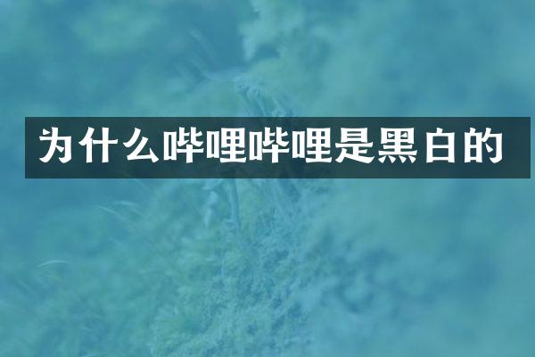 为什么哔哩哔哩是黑白的