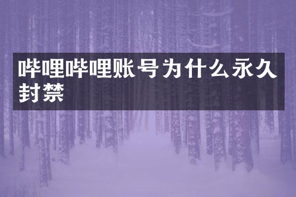 哔哩哔哩账号为什么永久封禁