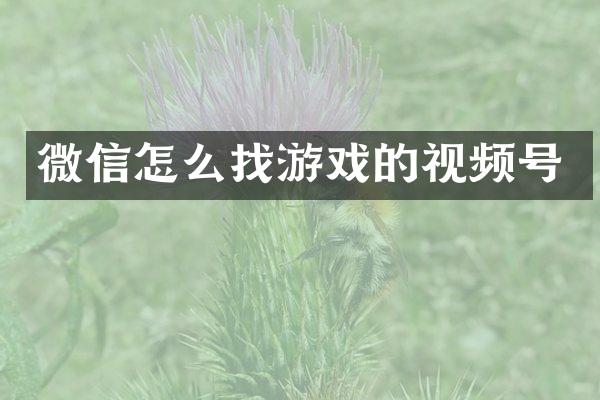微信怎么找游戏的视频号