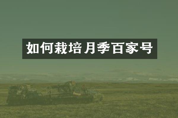 如何栽培月季百家号
