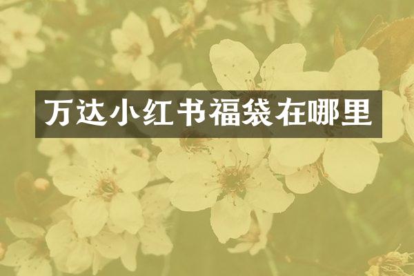万达小红书福袋在哪里