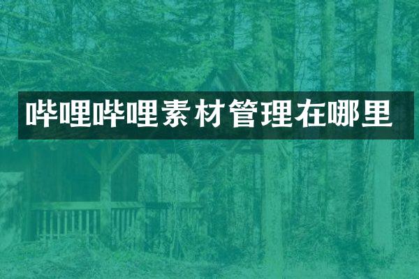 哔哩哔哩素材管理在哪里