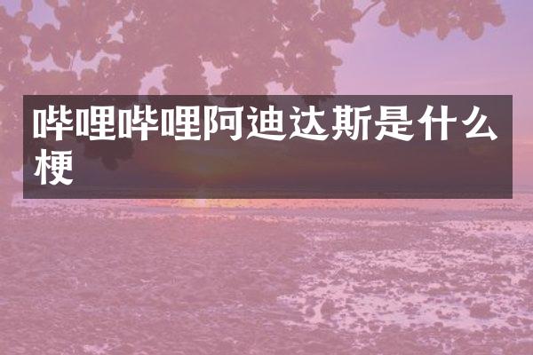 哔哩哔哩阿迪达斯是什么梗