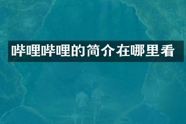 哔哩哔哩的简介在哪里看