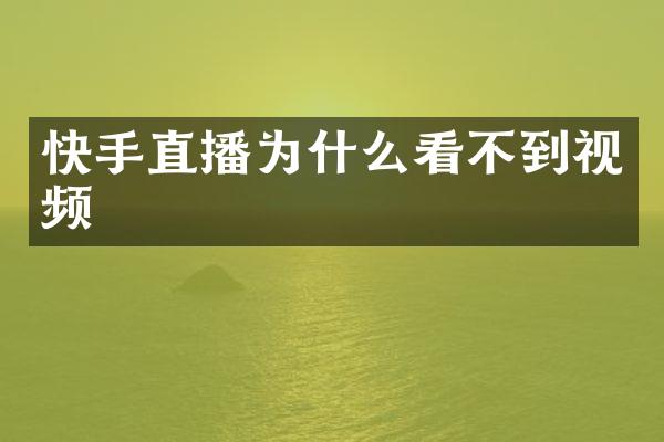 快手直播为什么看不到视频