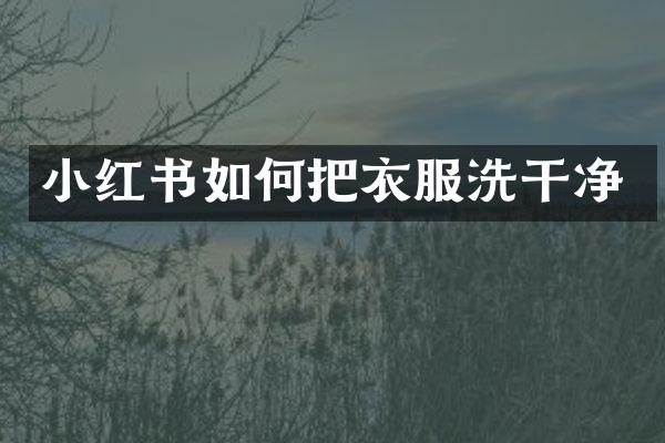 小红书如何把衣服洗干净