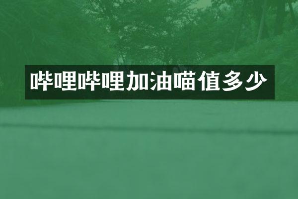 哔哩哔哩加油喵值多少