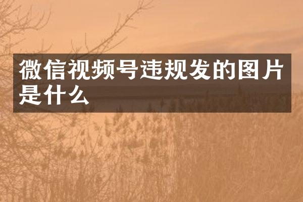微信视频号违规发的图片是什么