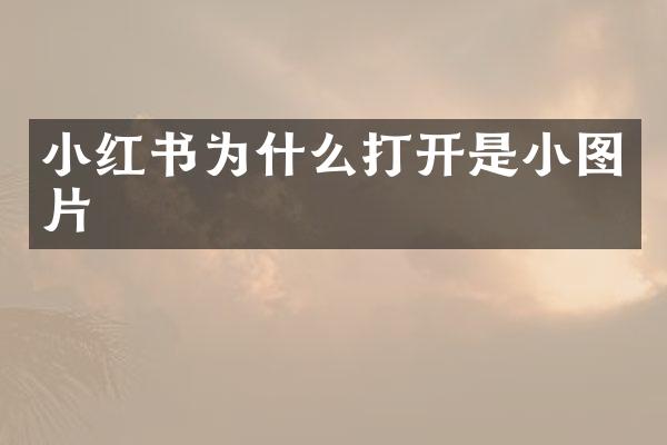 小红书为什么打开是小图片