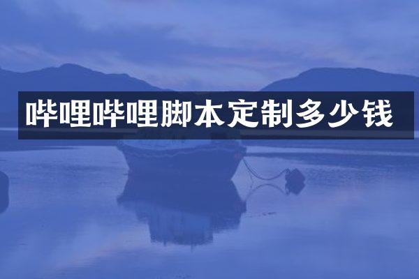 哔哩哔哩脚本定制多少钱