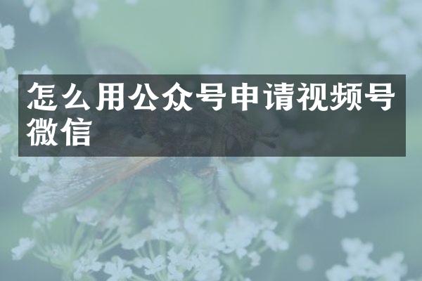 怎么用公众号申请视频号微信