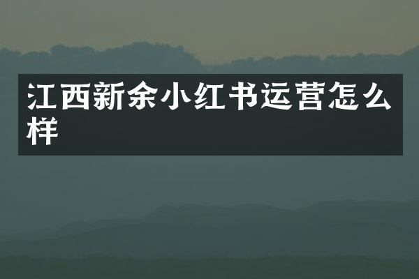 江西新余小红书运营怎么样