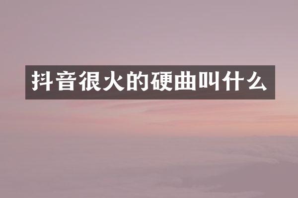 抖音很火的硬曲叫什么