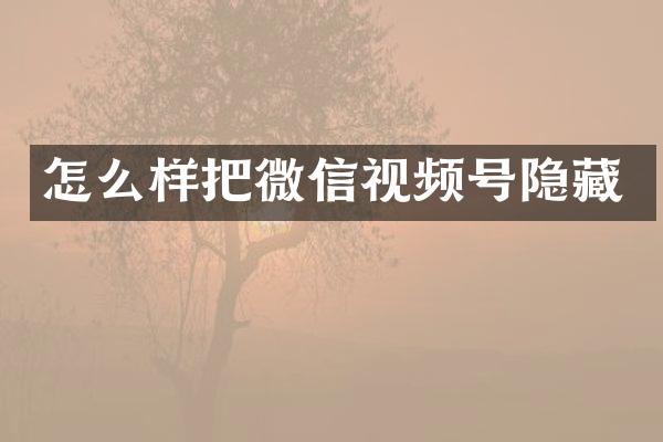 怎么样把微信视频号隐藏