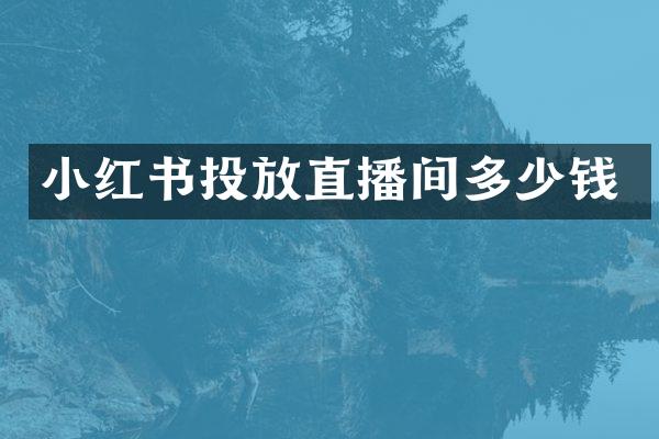 小红书投放直播间多少钱