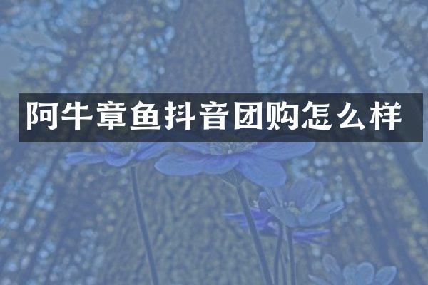 阿牛章鱼抖音团购怎么样