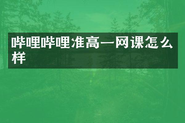 哔哩哔哩准高一网课怎么样
