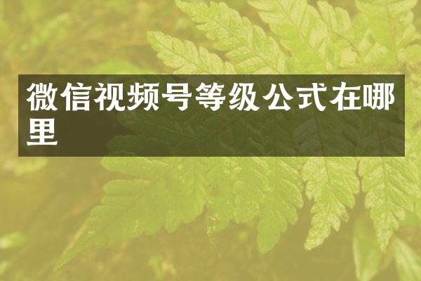 微信视频号等级公式在哪里
