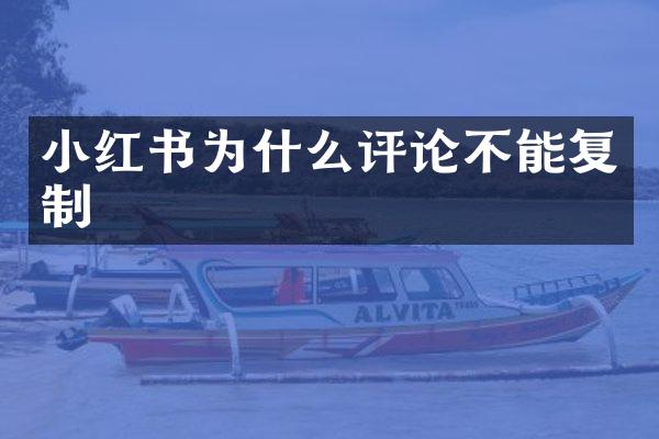 小红书为什么评论不能复制