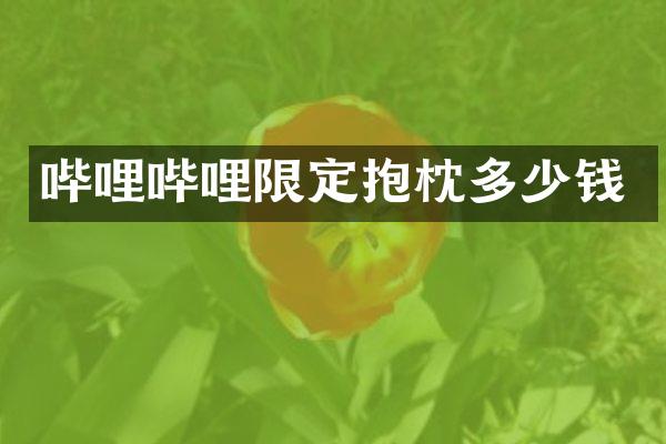 哔哩哔哩限定抱枕多少钱