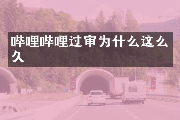 哔哩哔哩过审为什么这么久