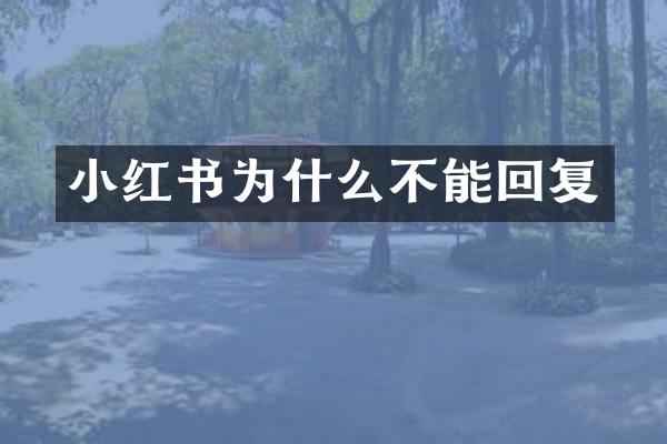 小红书为什么不能回复