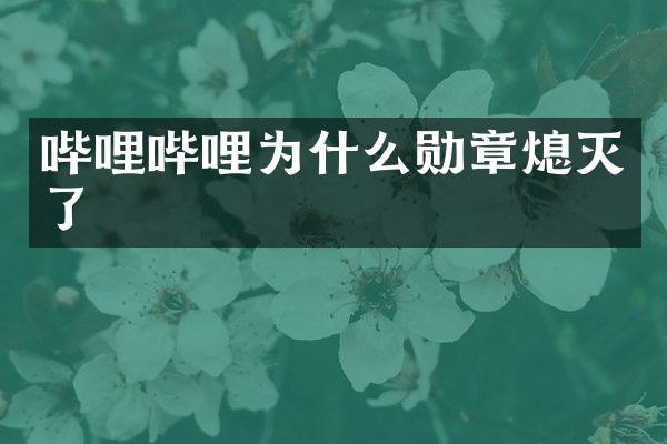 哔哩哔哩为什么勋章熄灭了