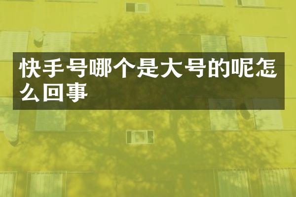 快手号哪个是大号的呢怎么回事