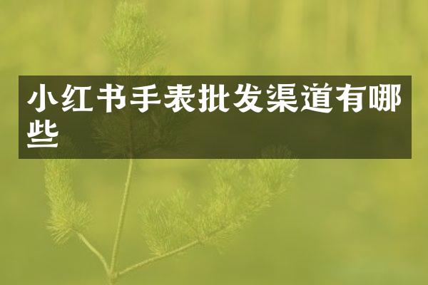 小红书手表批发渠道有哪些