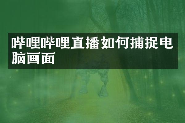哔哩哔哩直播如何捕捉电脑画面