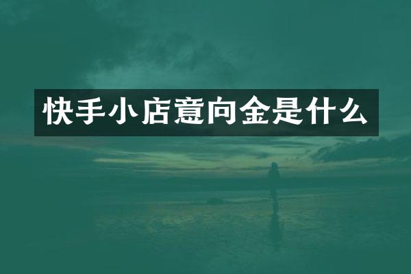 快手小店意向金是什么