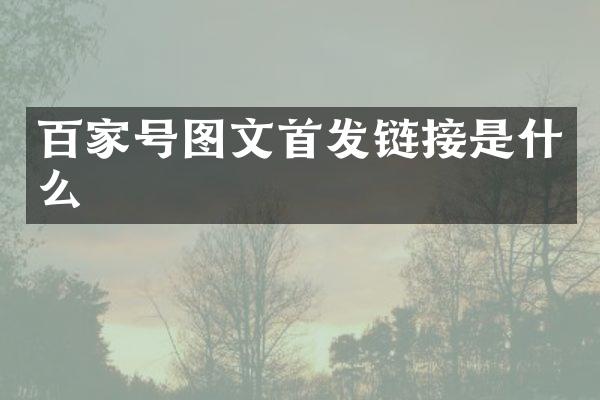 百家号图文首发链接是什么