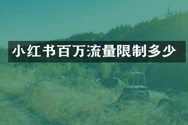 小红书百万流量限制多少