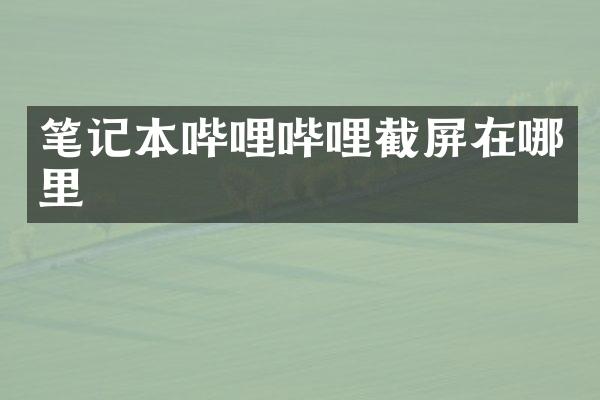 笔记本哔哩哔哩截屏在哪里