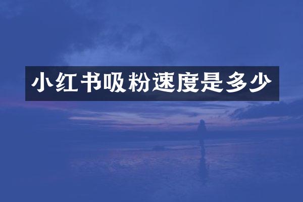 小红书吸粉速度是多少