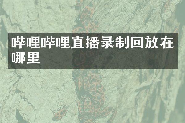 哔哩哔哩直播录制回放在哪里