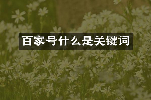 百家号什么是关键词