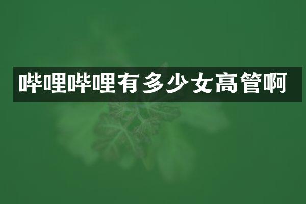 哔哩哔哩有多少女高管啊
