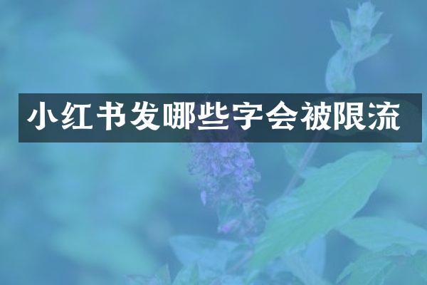 小红书发哪些字会被限流