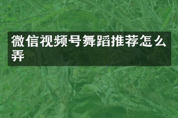 微信视频号舞蹈推荐怎么弄