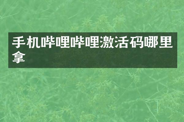 手机哔哩哔哩激活码哪里拿